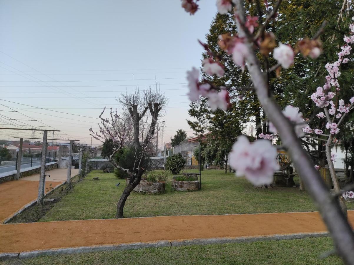 韦尔迪镇Quinta Do Gestal - Soutelo公寓 外观 照片
